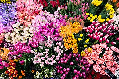 一起驰骋，《极限竞速：地平线5》最新车单公布