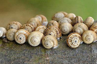 生存恐怖游戏《活埋：无息救援》发布新预告 12月12日推出